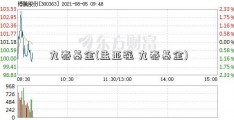 九泰基金(孟亚强 九泰基金)