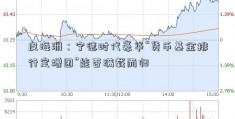 皮海洲：宁德时代豪华“货币基金排行定增团”能否满载而归