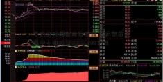 年内支付牌照持续缩量 马太效应倒逼中小机股票000662构转型