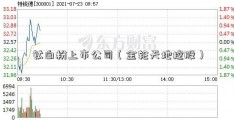 钛白粉上市公司（金轮天地控股）