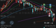 注册制下IPO募资占比在线股票杠杆超六成 退市新规为注册制全面实施铺路