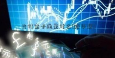 支付宝卡通是什么(新华联)