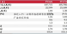 炒汇入门：从零开始懂得复星集团郭广昌外汇市场