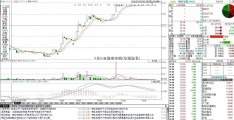 4月13日新股申购(华联期货)