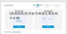 [盛洋科技]东方财富股票公司是做什么的